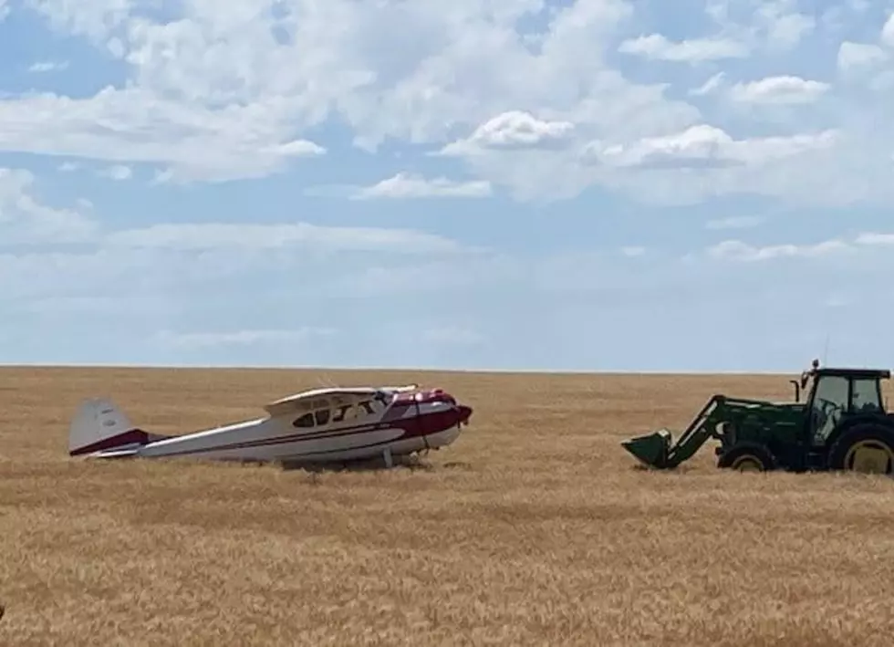 Small Plane Loses Engine Mid-flight, Makes Emergency Landing in Douglas County Hay Field