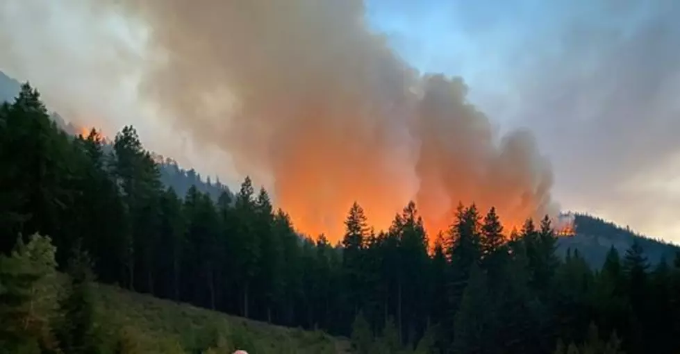 Cedar Creek, Cub Creek Fires Account for Large Portion of Washington Wildfires This Season