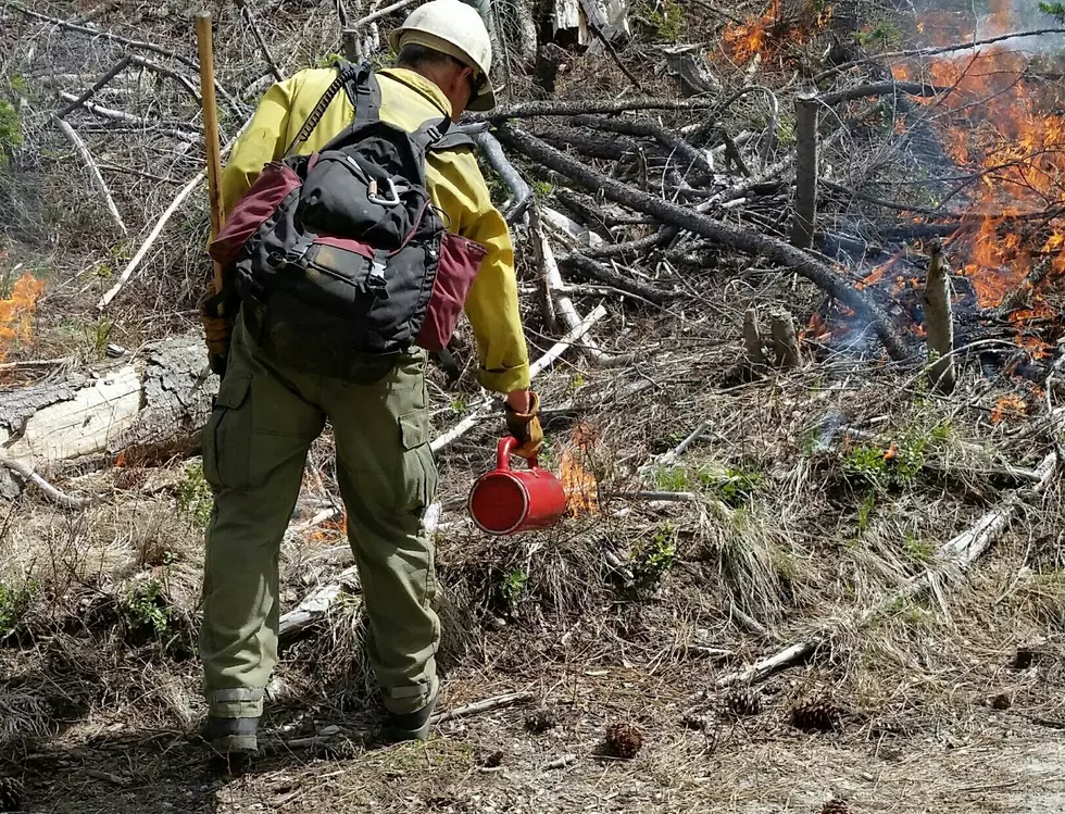 Prescribed Burning Planned for Colockum Wildlife Area