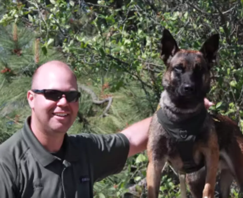 Grant County Sheriff&#8217;s Office Credits Deputy and K9 Partner for Tracking Down Burglary Suspect