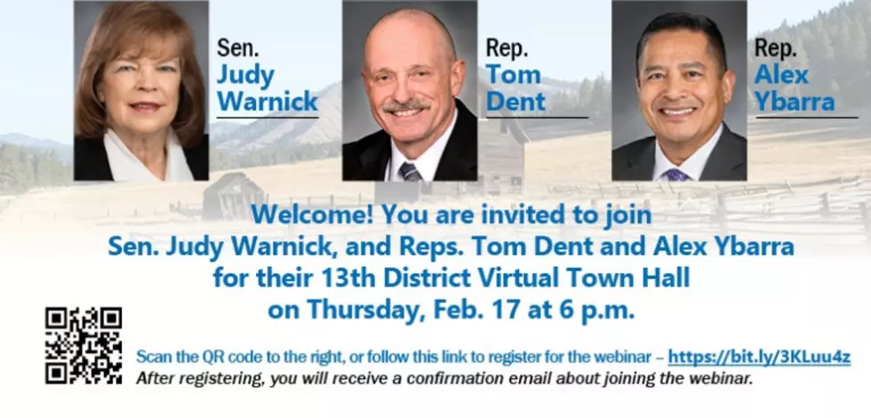 13th District State Lawmakers to Hold Virtual Town Hall