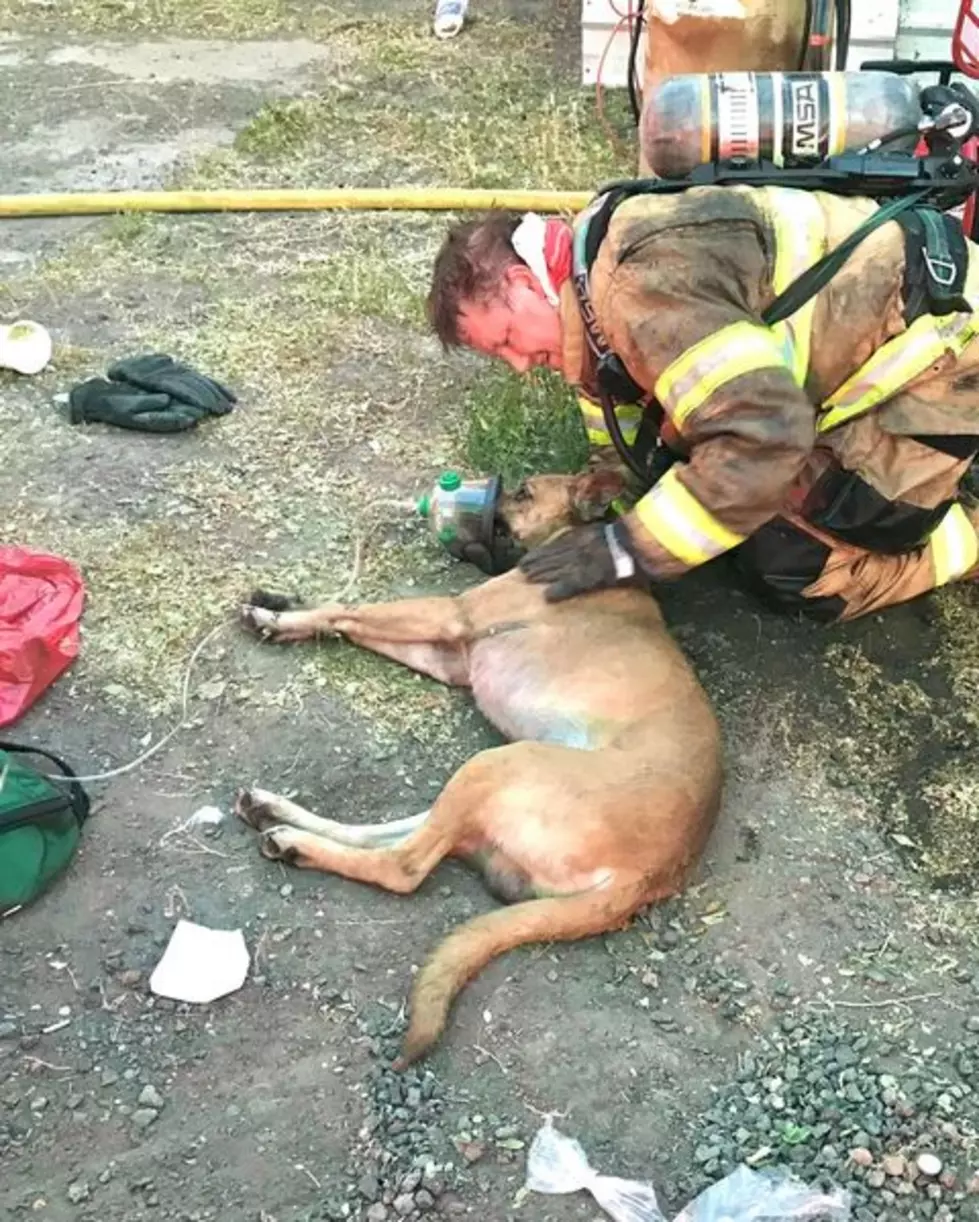 Moses Lake Firefighters Save Pets from Mobile Home Fire