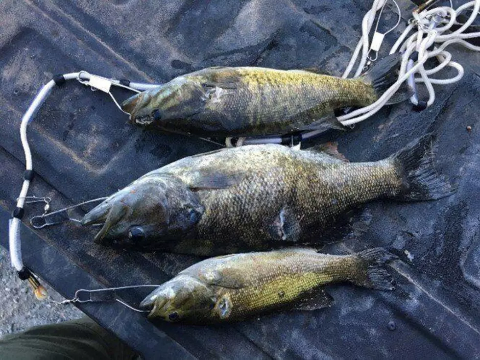 WDFW Seeking Charges Against Three for Illegal Spearfishing in Lake Chelan