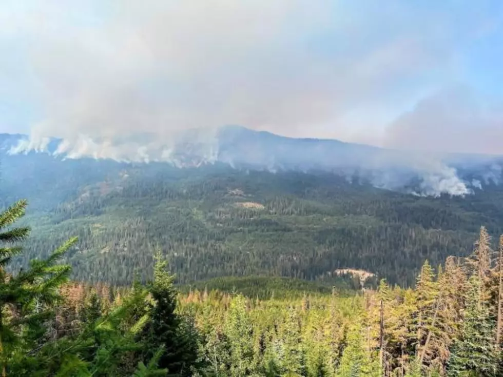 White River and Irving Peak Fires Produce Smoke Due to Higher Temperatures