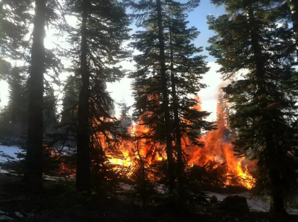 Prescribed Pile Burning Underway on Okanogan-Wenatchee Nat’l Forest