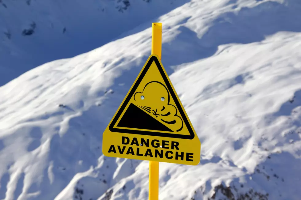 Forest Users Being Warned of Avalanche Dangers