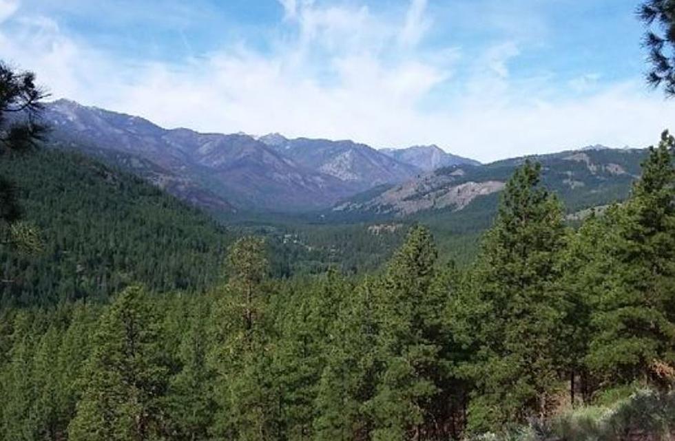 Hikers And Hunters Sharing Space In The Okanogan Wenatchee Forest