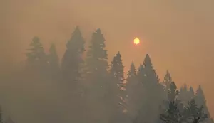 Washington Is One Of Three States With Permanent Wildfire Smoke Rules