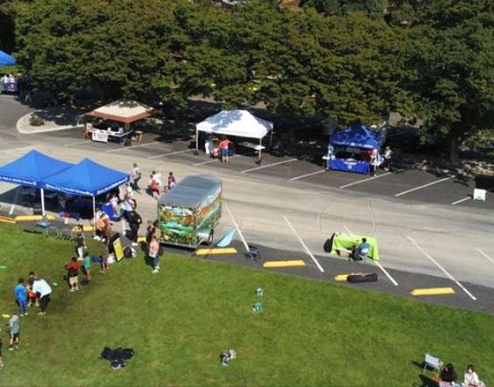 Salmon Festival Gets Repeat Performance At Rocky Reach Dam