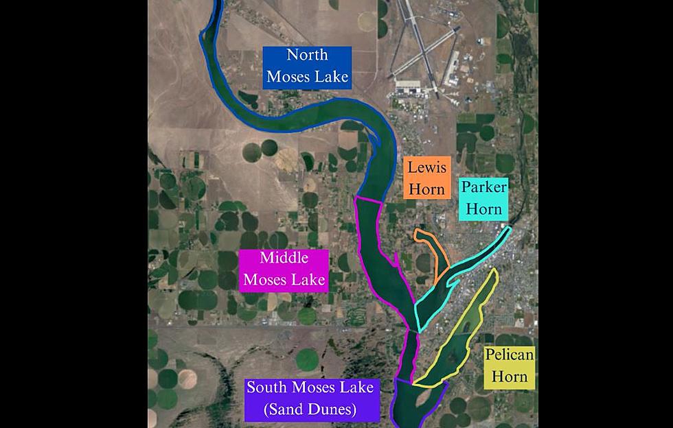 Blue Green Algae Warnings In Place For Parts Of Moses Lake