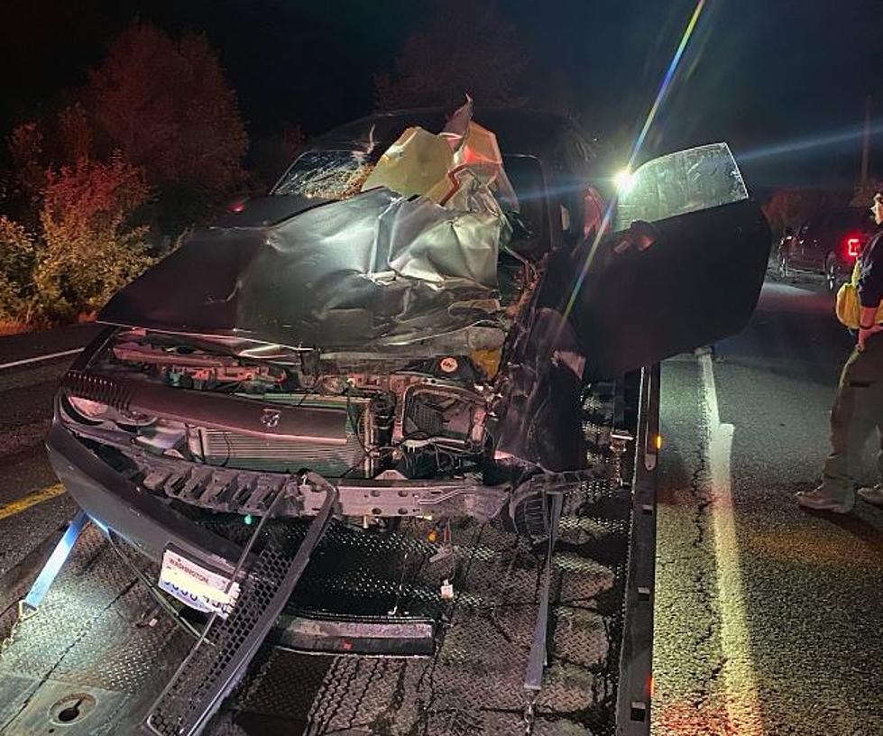Minor Injuries In Car Vs. Elk Crash On US 97 In Chelan County
