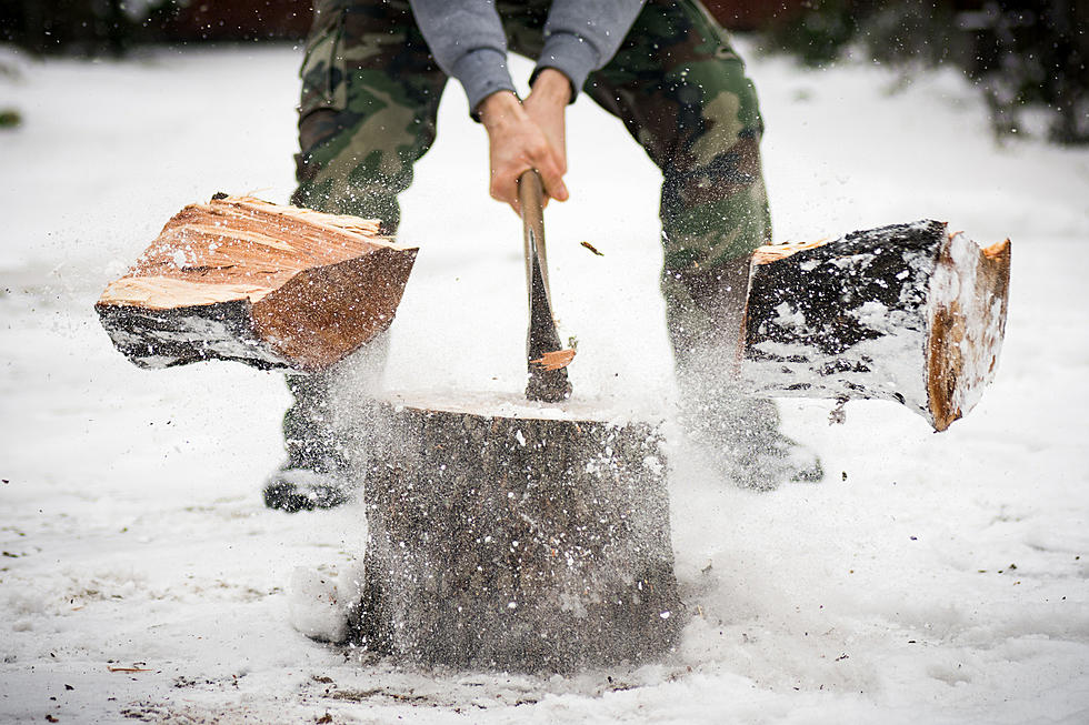 It&#8217;s Firewood Cutting Time In The National Forest!