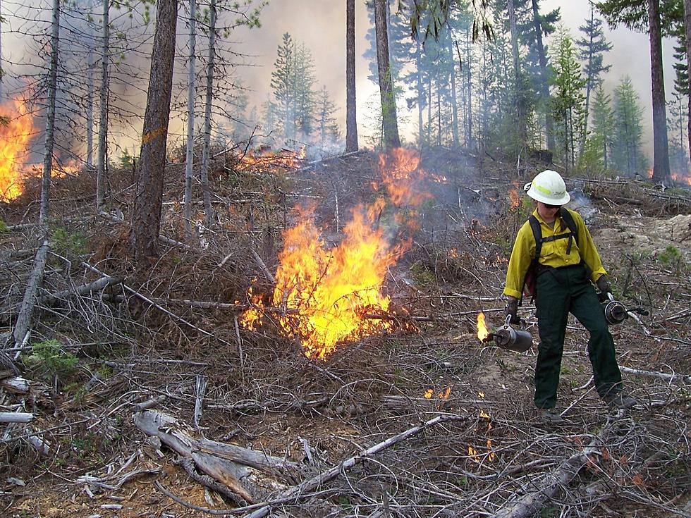 Prescribed Burns Coming To The Okanogan Wenatchee National Forest
