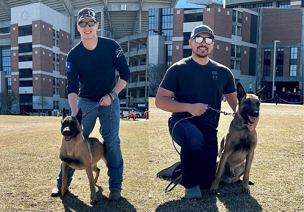Grant County Sheriff’s Office Welcomes Two New K9s