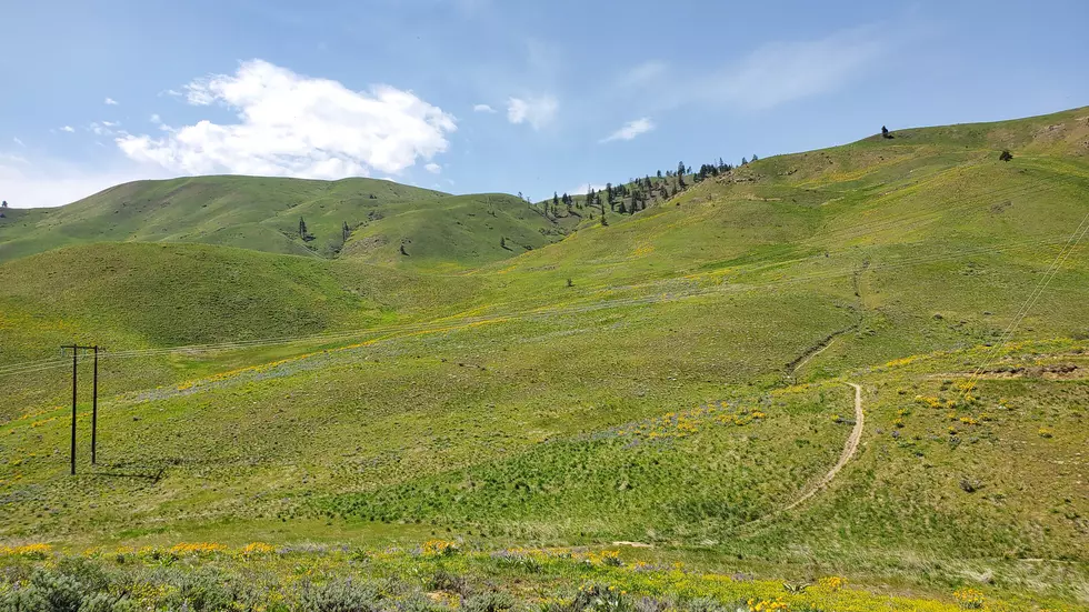 Wenatchee Foothills To Open Monday For Hiking, Biking