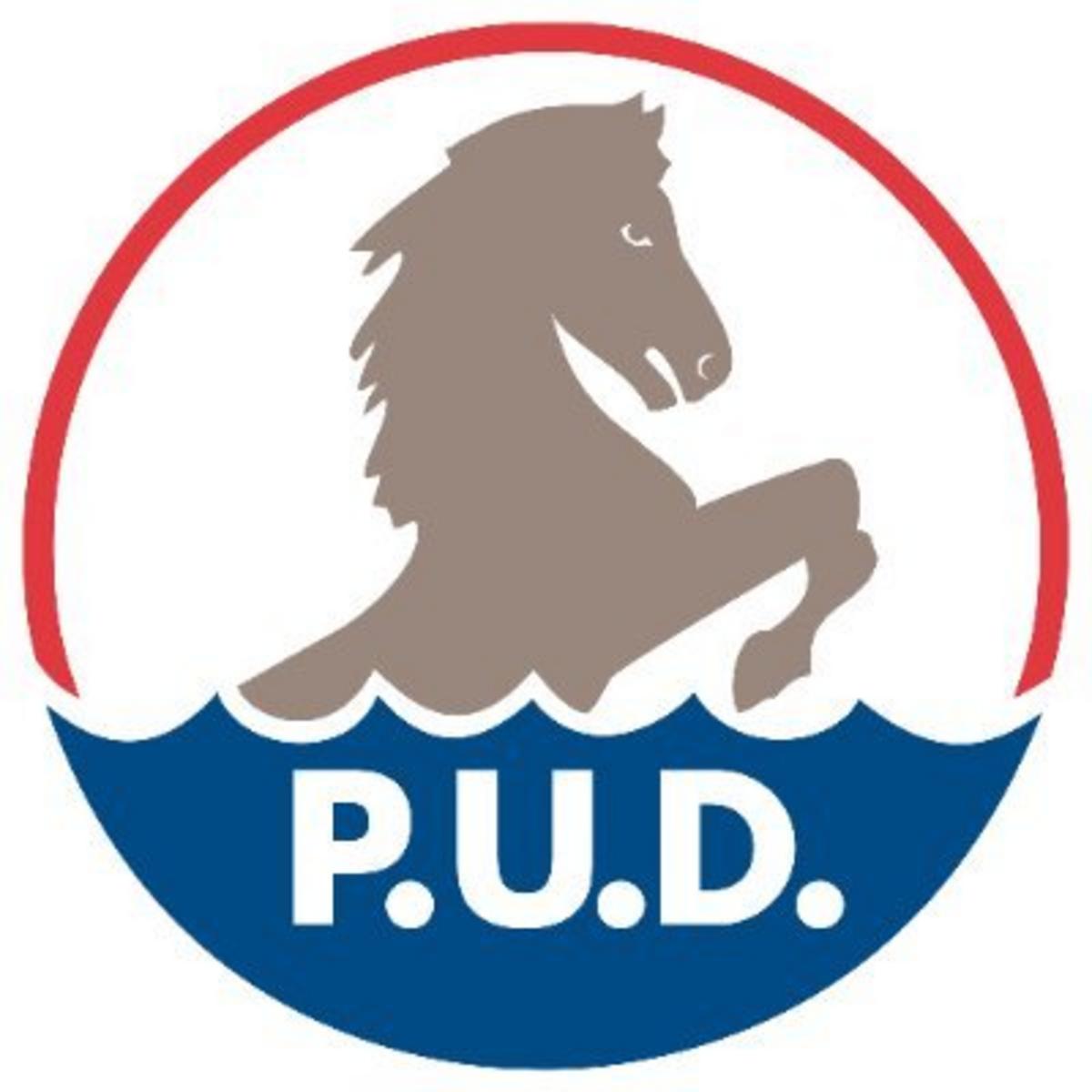 Chelan PUD Joins Markets+ to Boost Energy Revenue