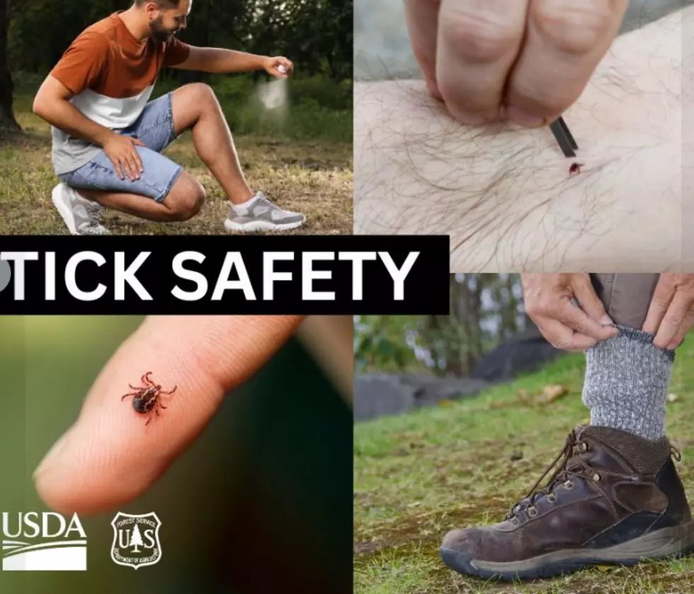 Okanogan Wenatchee Forest Reminding Hikers To Watch Out For Ticks