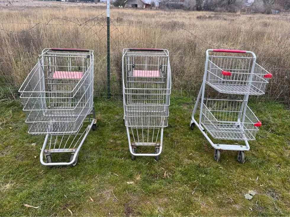 Wenatchee To Clamp Down On Shopping Carts On The Streets
