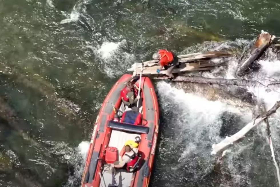Swiftwater Teams Save Kayaker Trapped on River Log Jam