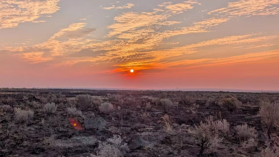 Pearl Hill Fire Near Bridgeport Now 100% Contained