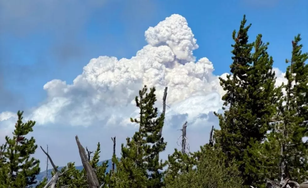 Little Giant Fire Surpasses 51,000 Acres, Still 0% Contained