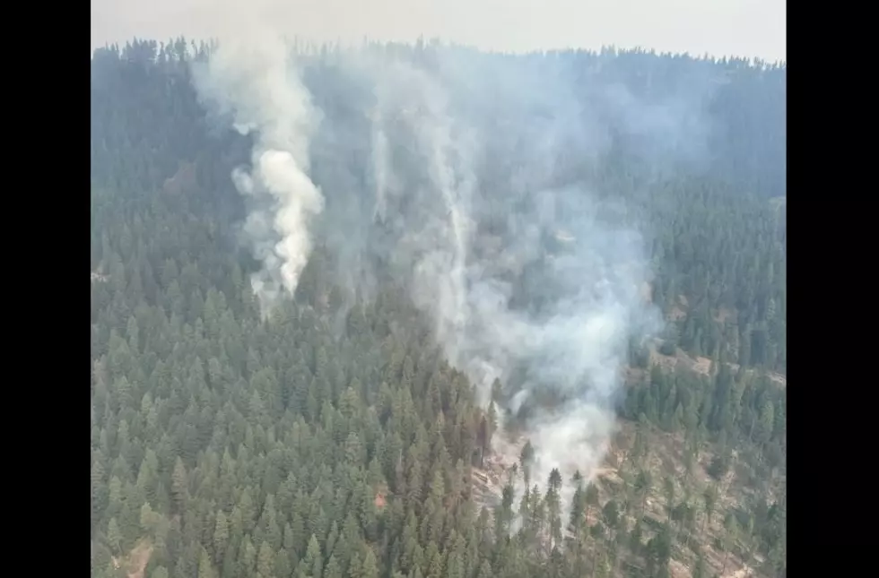 Lightning Strikes Spark Bevy Of New Wildfires On Okanogan-Wenatchee Nat’l Forest