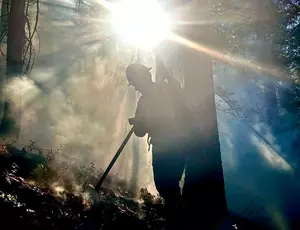Firefighters Contain, Extinguish 6 New Wildfires On Nat'l Forest