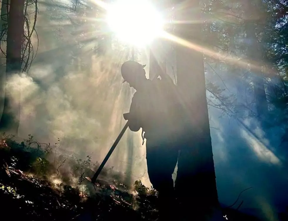 Firefighters Contain, Extinguish 6 New Wildfires On Nat'l Forest