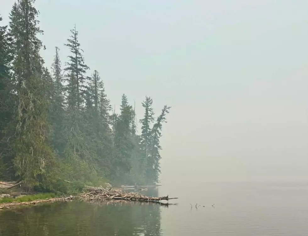 Wildfire Smoke Threatens Camp Zanika Finances: Urgent Plea For Help