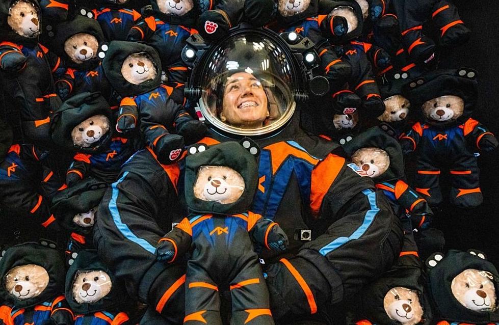 How much does it cost to shoot a teddy bear into space?