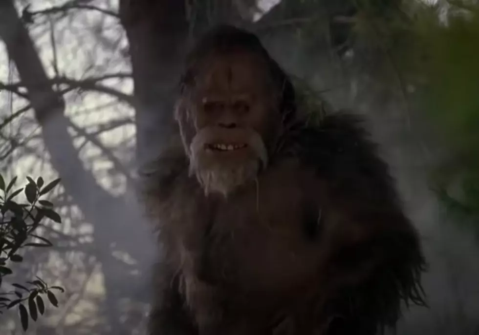 What is Mossquatch? And where do you find it?