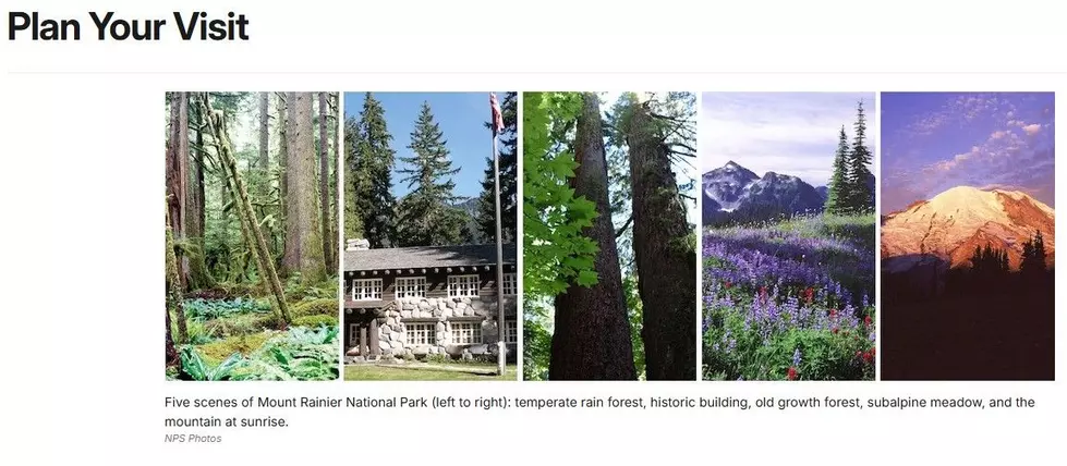 screen shot / nps.gov/mora/planyourvisit/paradise-accessibility.htm