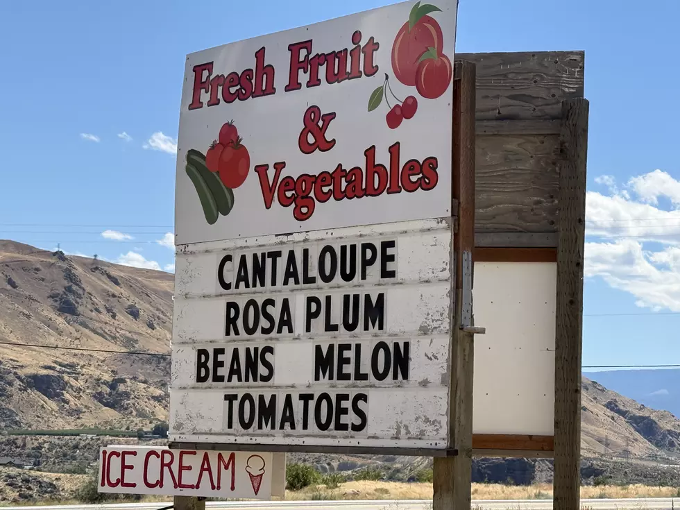 Homestead Fruit Stand's Peach Milkshake Is Worth The Stop