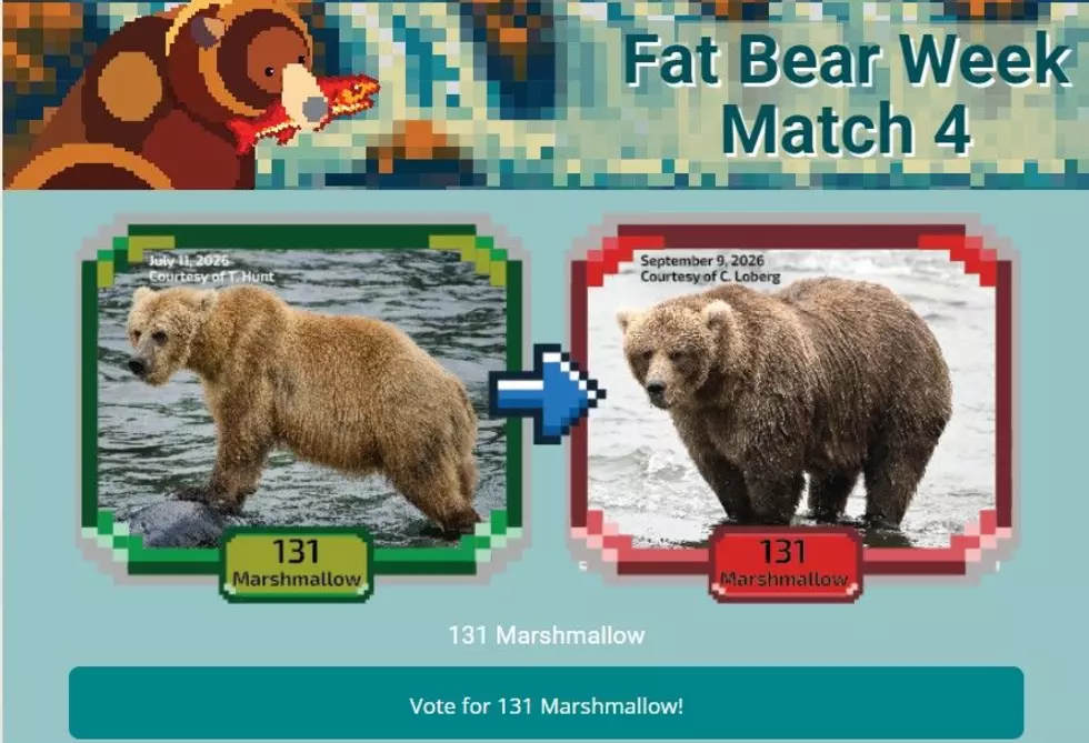 Screen shot / Katmai Conservancy | About Fat Bear Week | Join the Conservation Celebration