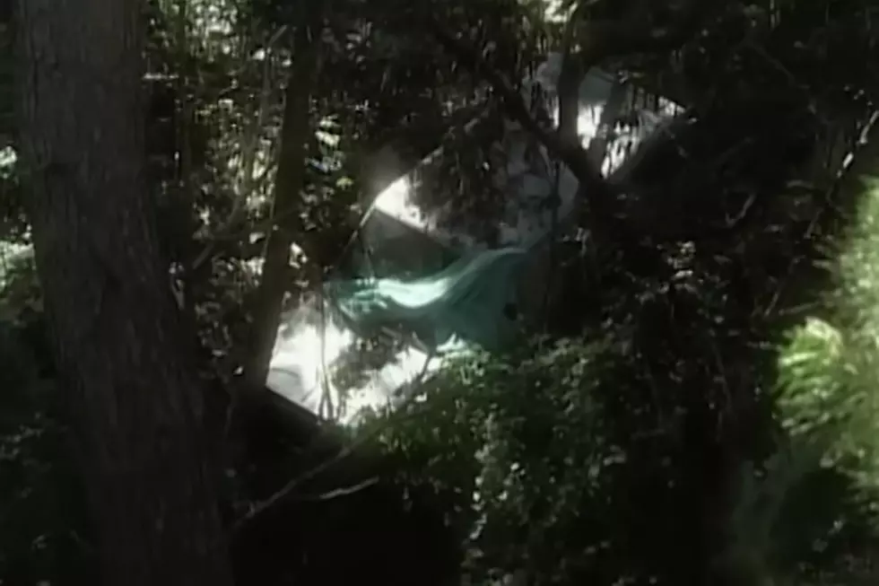 White jeep crashed down a forested embankment