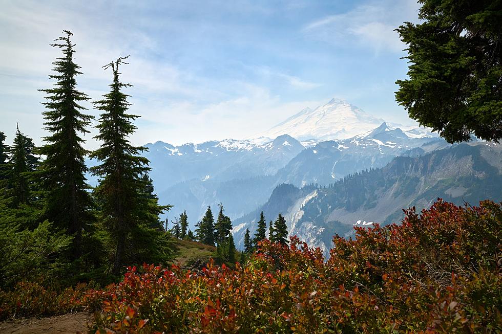 You know you live in Chelan County, Washington when…