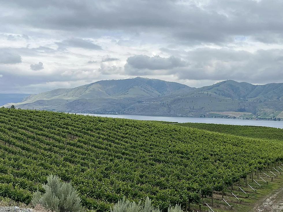 Wine, Pizza &#038; Views: The Charm of Manson&#8217;s Benson Vineyards