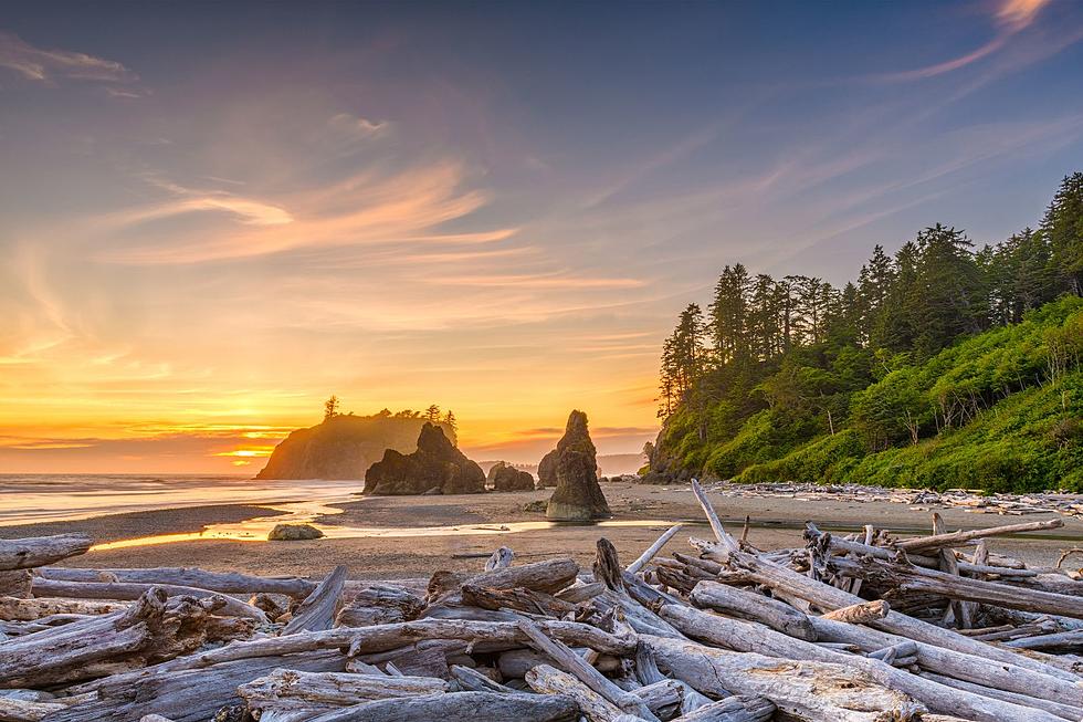 Washington State's, Best Beaches According to TripAdvisor