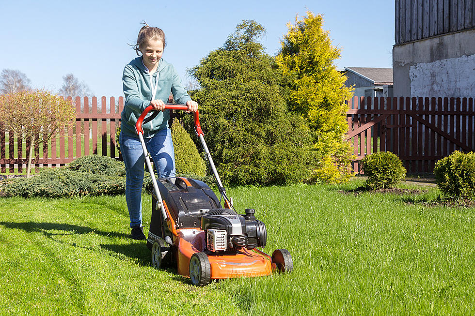 When Should You Stop Mowing Your Lawn In Washington?