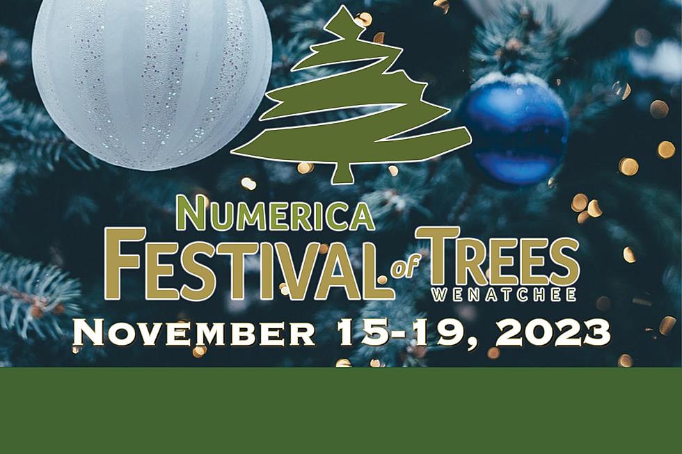 Buy Your Tickets Now for the Numerica Festival of Trees!