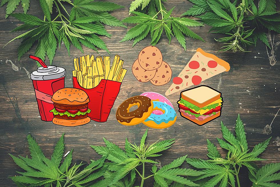 Munchies and Cannabis: WSU Dives in and Finds Out