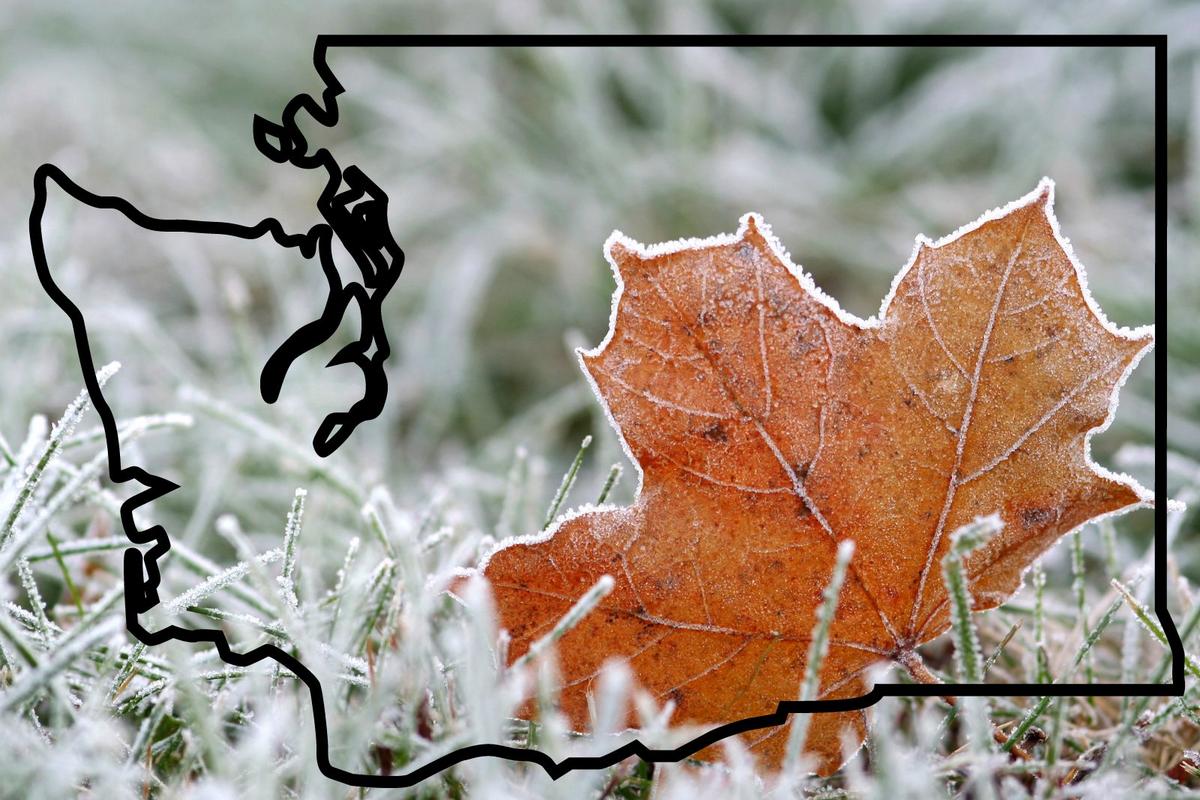 Old Farmer’s Almanac predicts frost dates for Washington cities