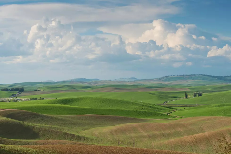 Pullman via Canva