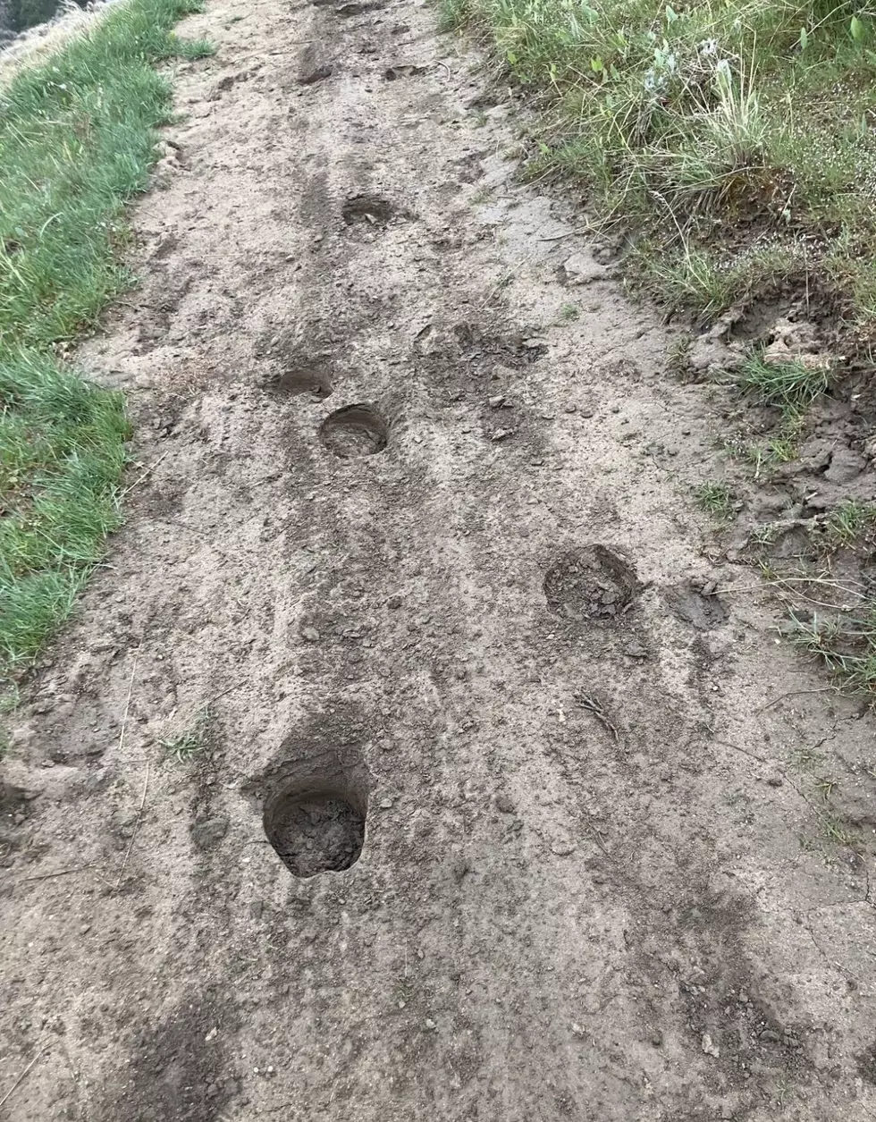 Deep hoof prints (provider wanted to remain anonymous)
