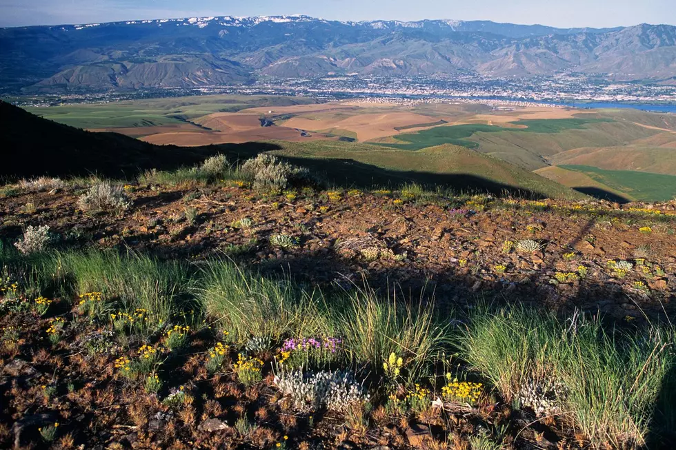 The Wenatchee Valley from high atop Badger Mountain via Canva