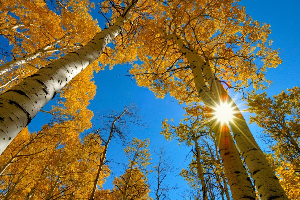 NOAA Predicts Warmer Fall for Washington, Pacific Northwest
