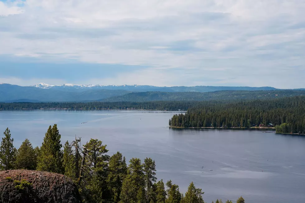 Ponderosa State Park (McCall, ID) Photo by Jeff Heaton on Unsplash
