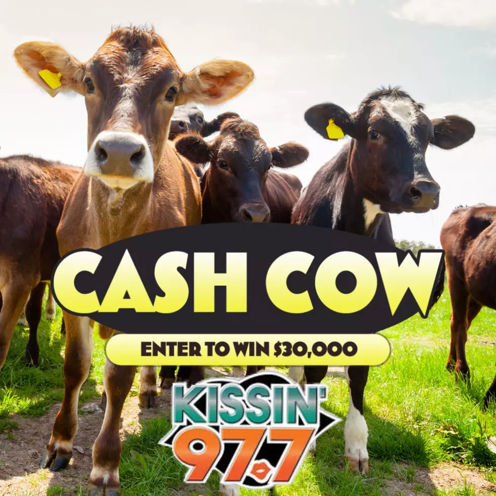 KISSIN&#8217; 977 Cash Cow