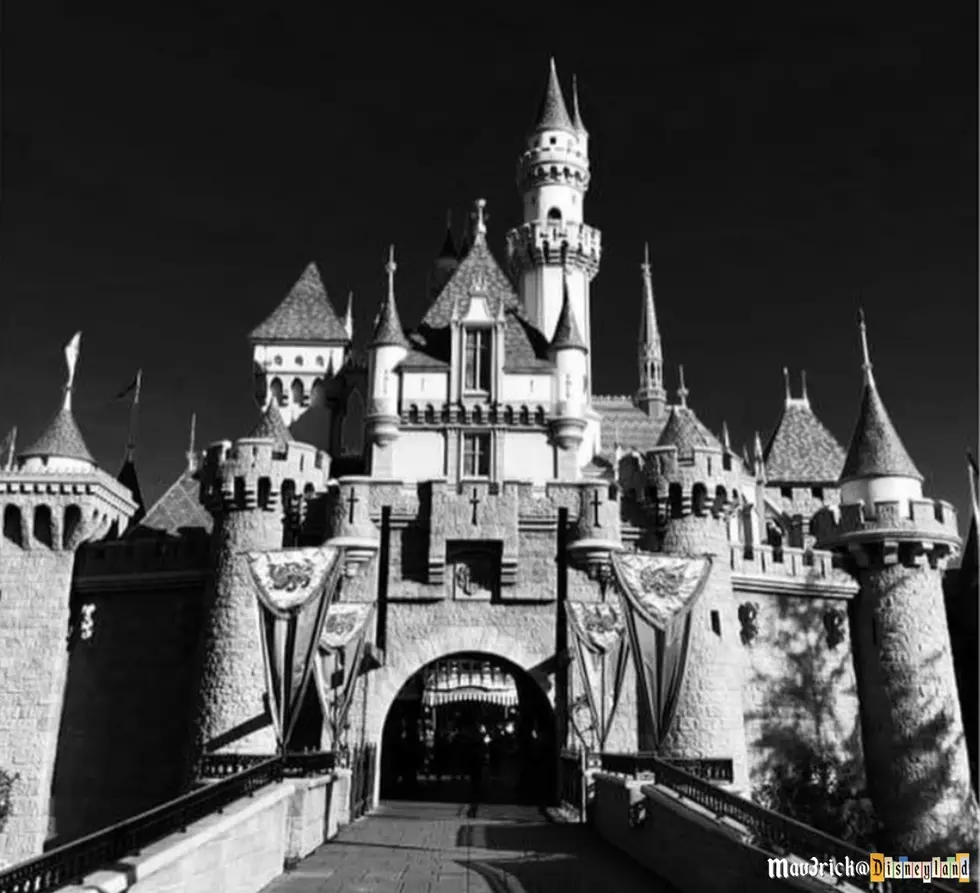 DISNEYLAND TIPS FROM A DISNEYLAND FANATIC