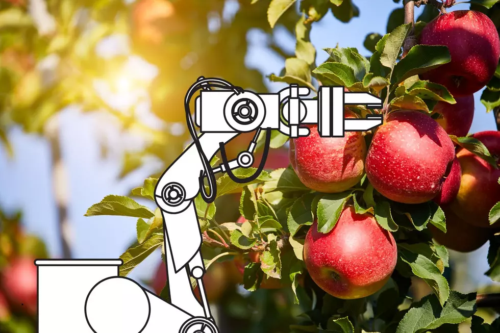 WSU Robotic Apple Picking &#8211; Groundbreaking Revolution